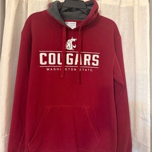 Champion Maroon and Gray Men's Hoodie